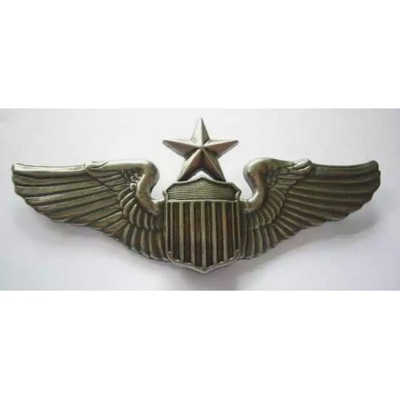 INSIGNIA ALAS DE PILOTO SENIOR