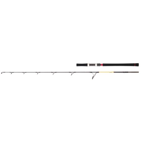 CAÑA DAIWA GRANDWAVE GWJG562HSOBF