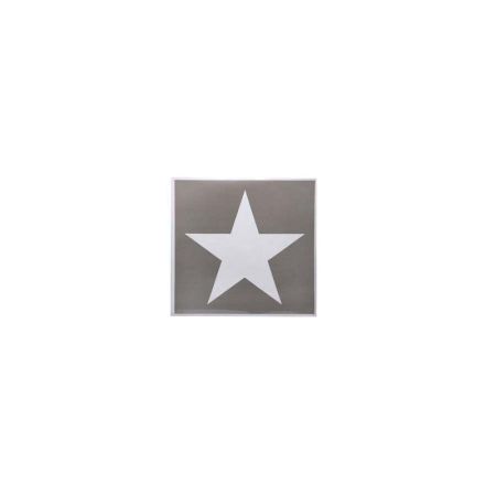 PLANTILLA ADHESIVA ESTRELLA US 10CM