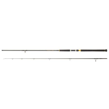 CAÑA DAIWA LEGALIS SHORE JIGGING LEGSJ1062XXHFSCF