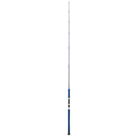 CAÑA DAIWA LEGALIS OCEANO 1,72M LEGOJG581XHS-AF